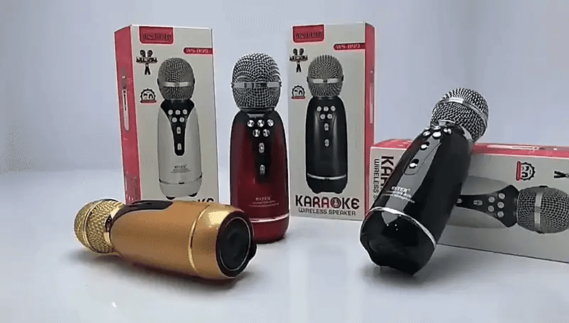 Wster - Karaoke Wireless Speaker