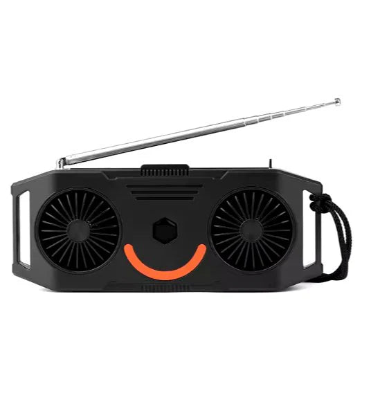 Panel Speaker