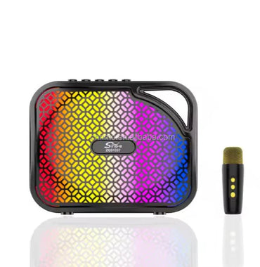 Portable Bluetooth Speaker Karaoke