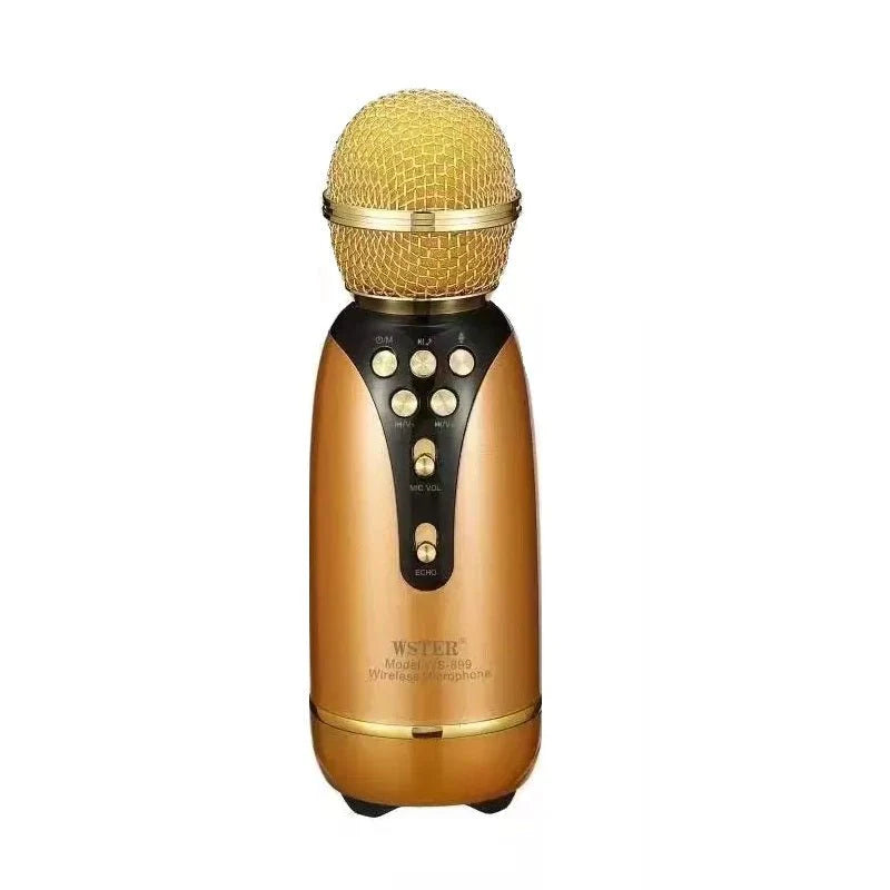 Wster - Karaoke Wireless Speaker