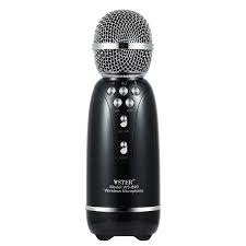 Wster - Karaoke Wireless Speaker