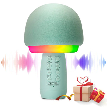 Wster - Wireless Microphone Speaker