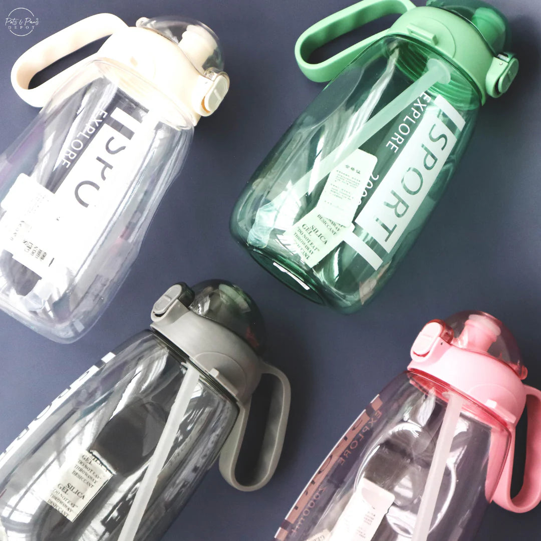 Sports Water Bottle - RashidExpress