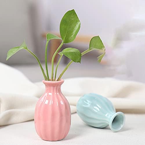 Little Buddies Bud Vase - RashidExpress