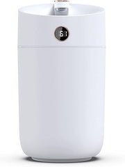 Portable Mist Humidifier - RashidExpress