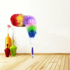 Feather Duster With Cover