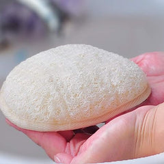 Natural Loofah Body Scrubber - RashidExpress