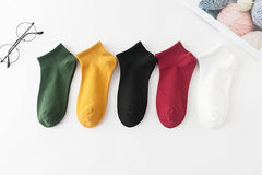 Multi Coloured Socks(10 Pairs) - RashidExpress