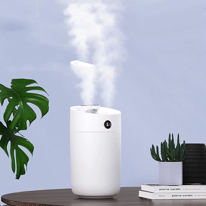 Portable Mist Humidifier - RashidExpress