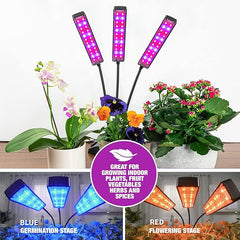 LED Grown Light - RashidExpress