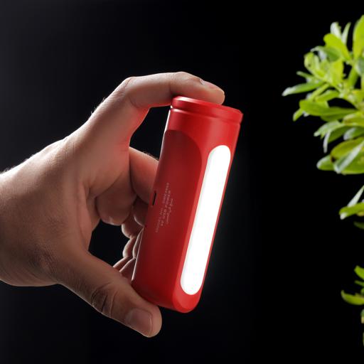 Rechargeable LED Torch & Light