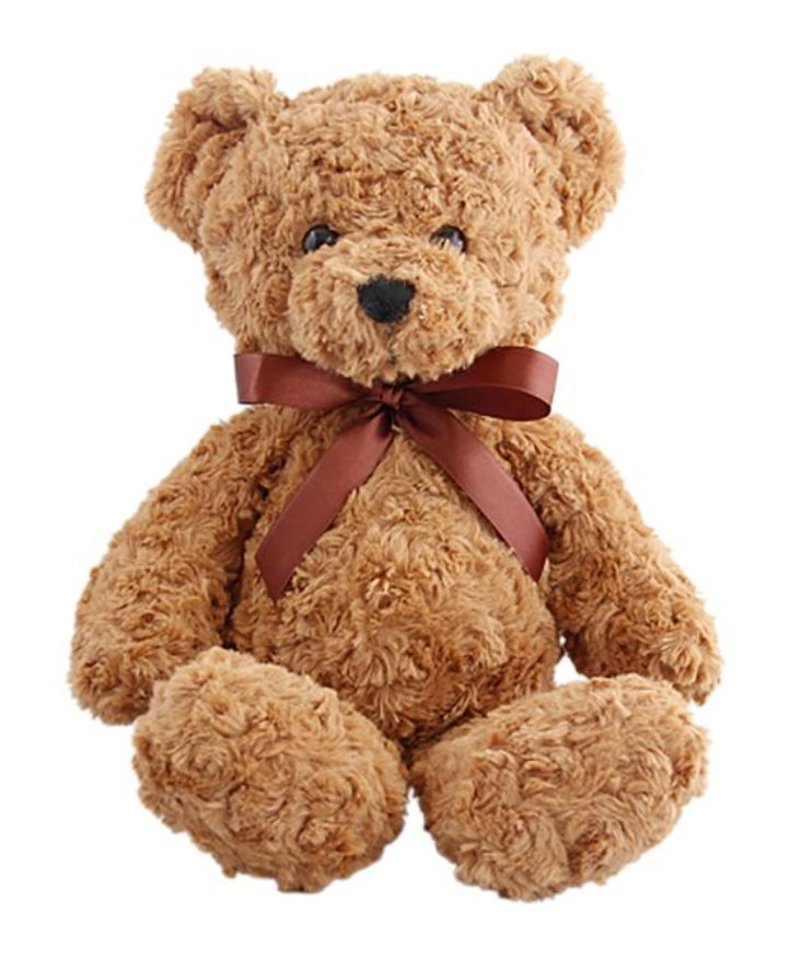 Winston Bear Plush (30cm) - RashidExpress