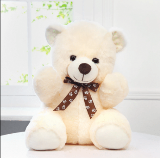 Love Combo Teddy Bear (40cm) - RashidExpress