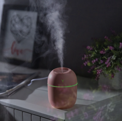 Egg Shaped Humidifier - RashidExpress