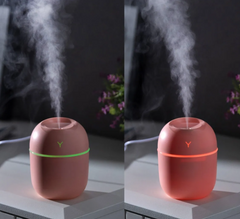 Egg Shaped Humidifier - RashidExpress