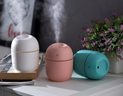 Egg Shaped Humidifier - RashidExpress