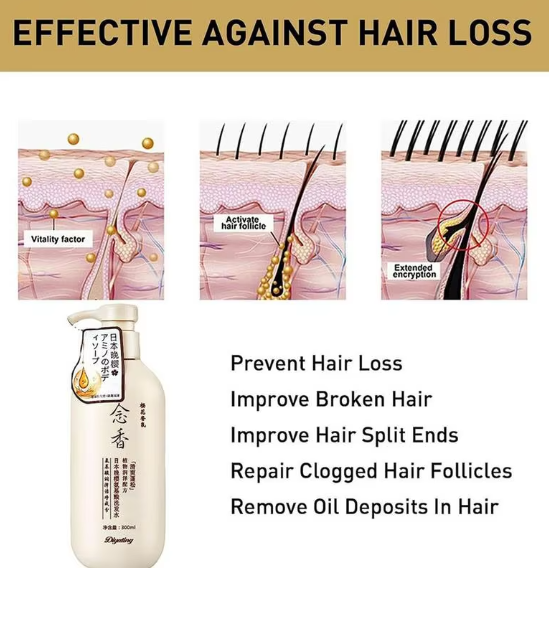 Shampoo and Conditioner - RashidExpress