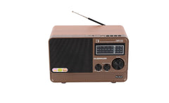 Rechargeable Radio with MP3 Player