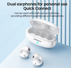 Hifi Stereo Earphones