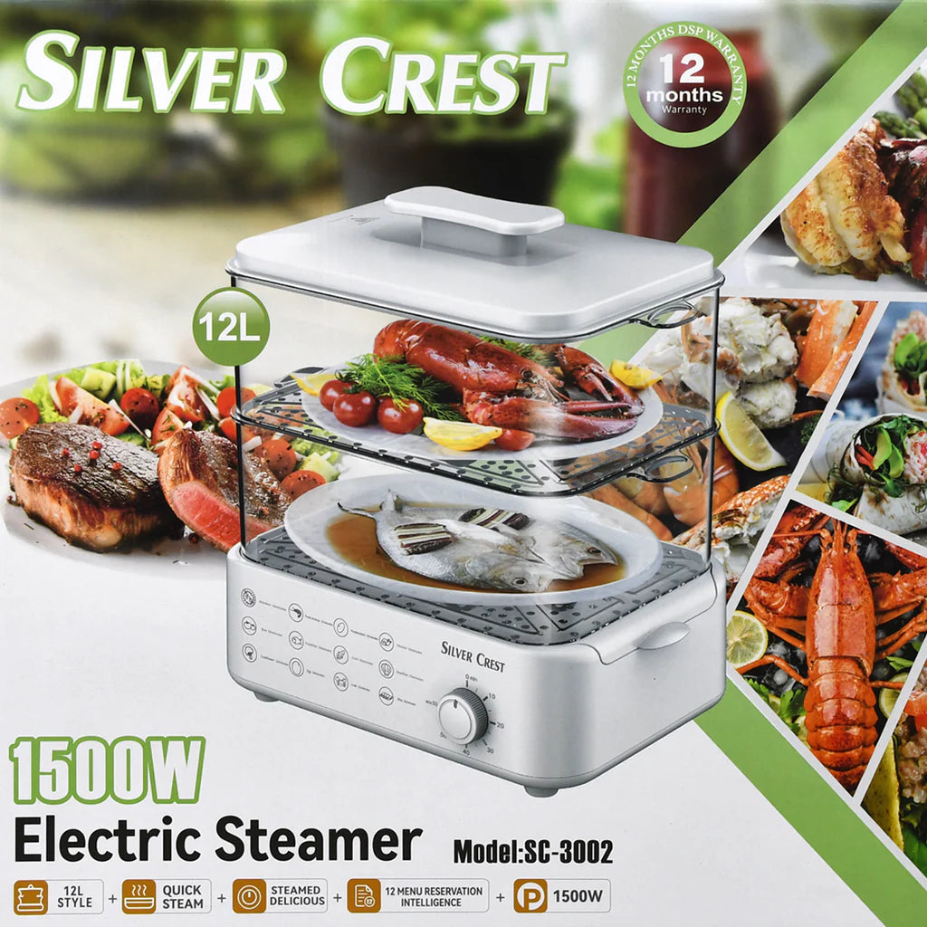 Electric Steamer and Defroster - RashidExpress