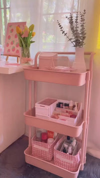 3 Tier Trolley Storage